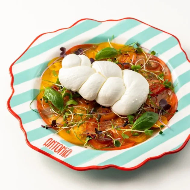 La Mozzarella di Antonia (V)